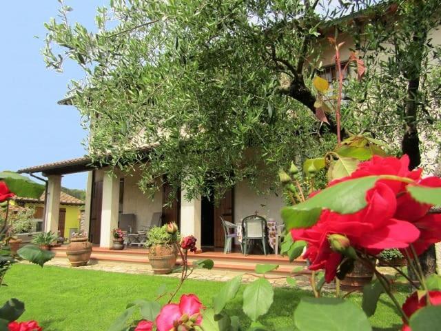 Casa Vacanze Lulu Camaiore Exteriör bild