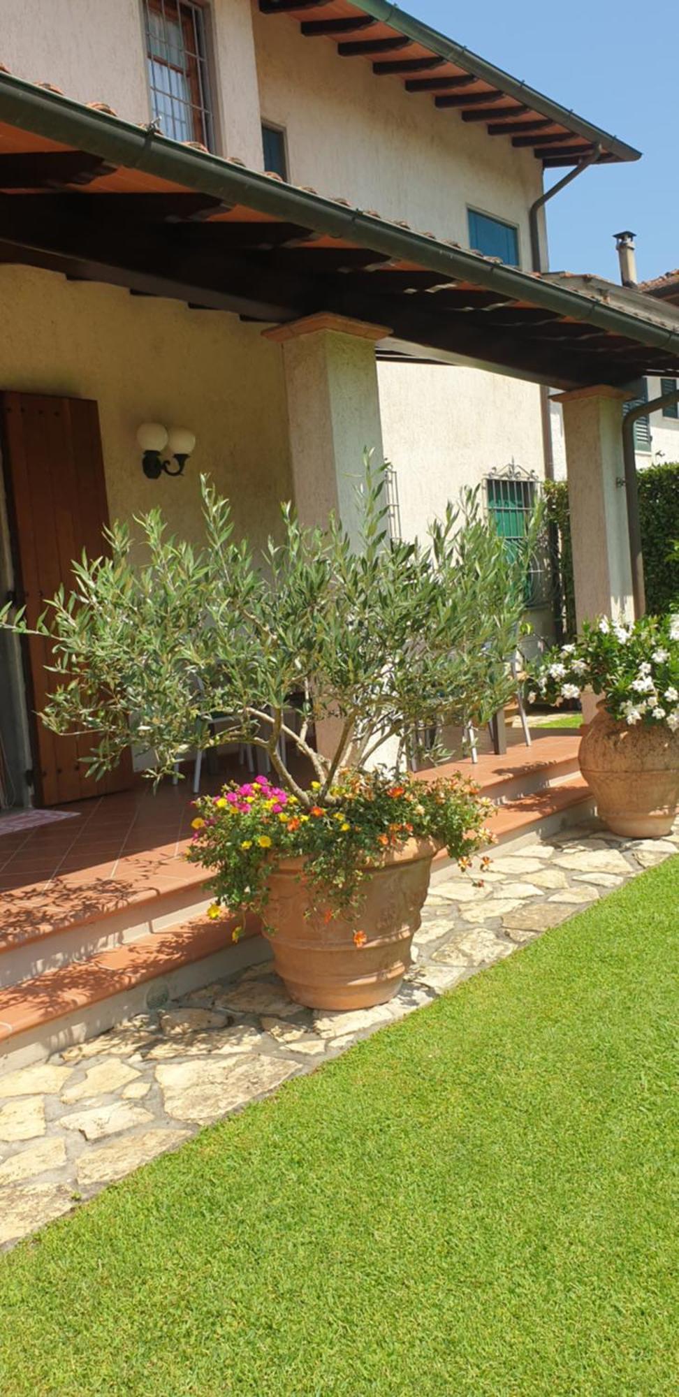 Casa Vacanze Lulu Camaiore Exteriör bild
